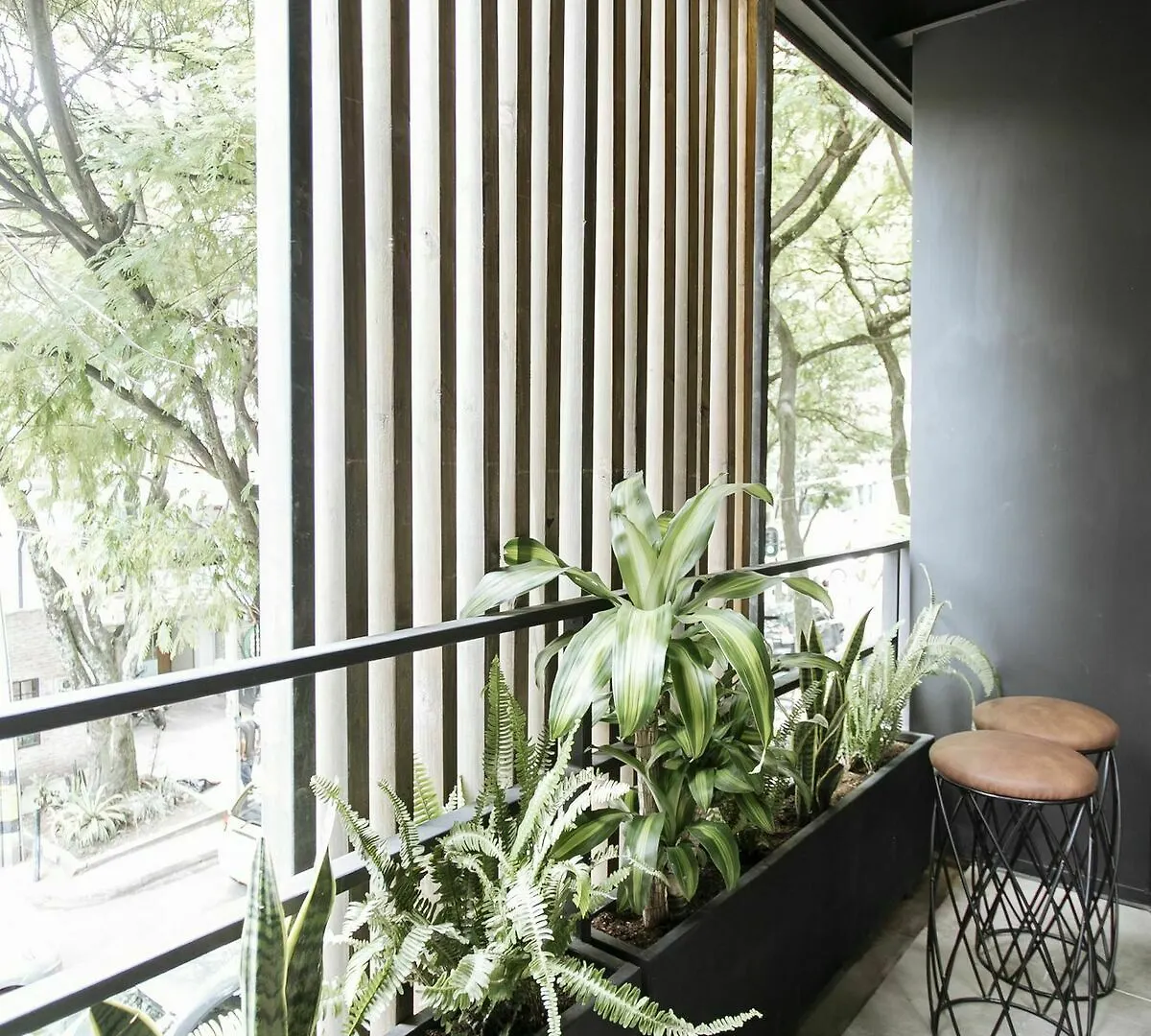 Soy Local Provenza Aparthotel Medellín